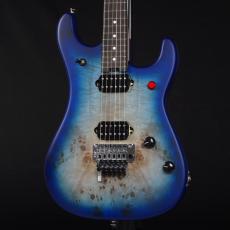 EVH 5150 Series Deluxe Poplar Burl ~Aqua Burst~