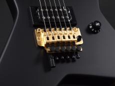 EVH Limited Edition Star Ebony Fingerboard Stealth Black with Gold Hardware_6