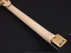 EVH Limited Edition Star Ebony Fingerboard Stealth Black with Gold Hardware_10