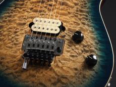 EVH Wolfgang Special QM Baked Maple Fingerboard Indigo Burst_6