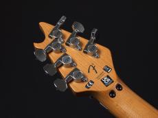 EVH Wolfgang Special QM Baked Maple Fingerboard Indigo Burst_9