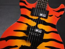 Edwards E-SR-Kellogg _4
