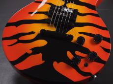 Edwards E-SR-Kellogg _6