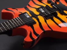Edwards E-SR-Kellogg _7