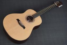 Sunami Guitars S_10