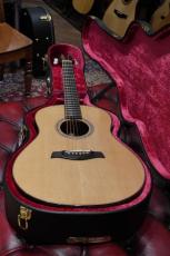 Sunami Guitars S_16