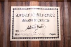Antonio Sanchez [アントニオ・サンチェス] Profesor1 Cedar 640mm_6