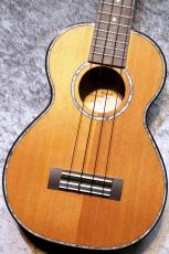 Kamaka 【USED】2021年製 HF-2D2IC【デラックスシリーズ・コンサート】【杉使用レアモデル!!】【池袋店在庫品】