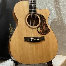 Maton 【メイトングッズプレゼントキャンペーン中】SRS808C #29250【ワイルドサップバック】