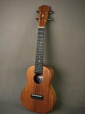 Millar CPA-E Concert【S/N 115】_11