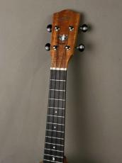 Millar CPA-E Concert【S/N 115】_13