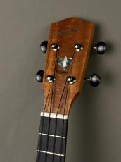 Millar CPA-E Concert【S/N 115】_14