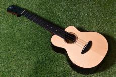 aNueNue UT200 MOON BIRD Tenor_2