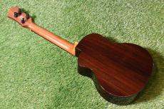 aNueNue UT200 MOON BIRD Tenor_3