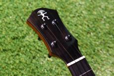 aNueNue UT200 MOON BIRD Tenor_5