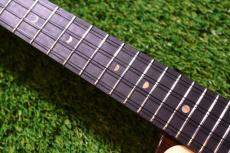 aNueNue UT200 MOON BIRD Tenor_7