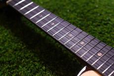 aNueNue UT200 MOON BIRD Tenor_8