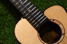 aNueNue UT200 MOON BIRD Tenor_11