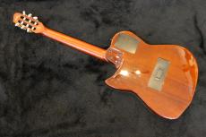 Godin Multiac Nylon Duet_7