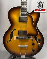 Ibanez AFV105