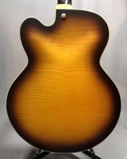 Ibanez AFV105_2