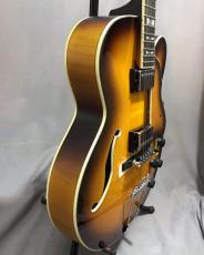 Ibanez AFV105_5