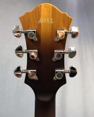 Ibanez AFV105_8