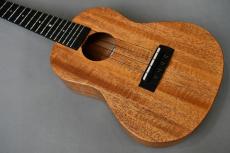 Millar CPA-E Concert【S/N 110】_2