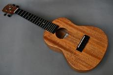 Millar CPA-E Concert【S/N 110】_3