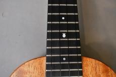 Millar CPA-E Concert【S/N 110】_8