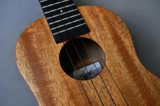 Millar CPA-E Concert【S/N 110】_10