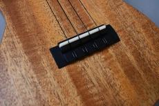 Millar CPA-E Concert【S/N 110】_11
