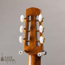 Shelley D. Park Encore Santos Rosewood_8
