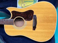 Guild D-40C_2