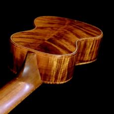 Lotus Acoustics Soprano LN Custom_6
