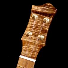 Lotus Acoustics Soprano LN Custom_10