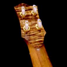 Lotus Acoustics Soprano LN Custom_11