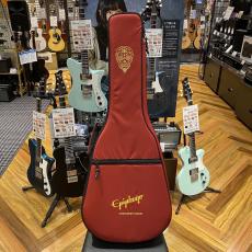 Epiphone Electric Guitar Gig Bag(セミアコ、335用)【現物画像】