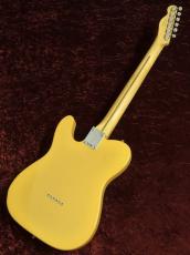 Fender Player II Telecaster MN Butterscotch Blonde #MX25044731_2