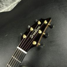 Breedlove Legacy C28CES LTD_3