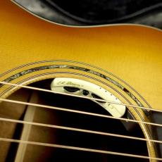 Breedlove Legacy C28CES LTD_8