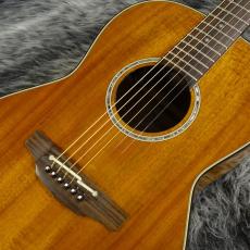 Takamine PTU431K N_9