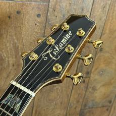 Takamine SA200 Custom Order Model ”Adirondack Spruce & Cocobolo”_3