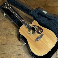 Takamine 200 Series Custom Order Model_2
