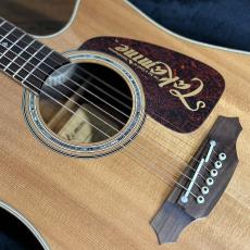 Takamine 200 Series Custom Order Model_3