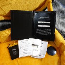 Gibson Modern Collection Les Paul Custom w/ Ebony Fingerboard Gloss Alpine White_9