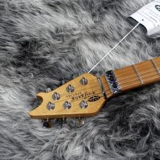 EVH Wolfgang Special QM Baked Maple Fingerboard Indigo Burst_4