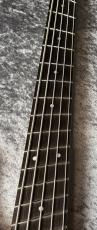 DINGWALL SP-1 5st - Gloss Metallic Black -【4.01kg】_4