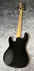 DINGWALL SP-1 5st - Gloss Metallic Black -【4.01kg】_7