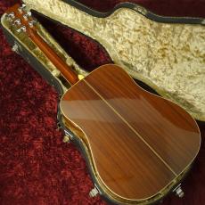 Aria Dreadnought DS-60_2